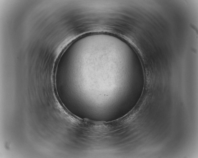 X0000101960943200808011104