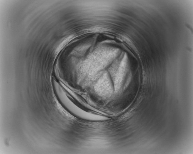 X0000101960946200808011104