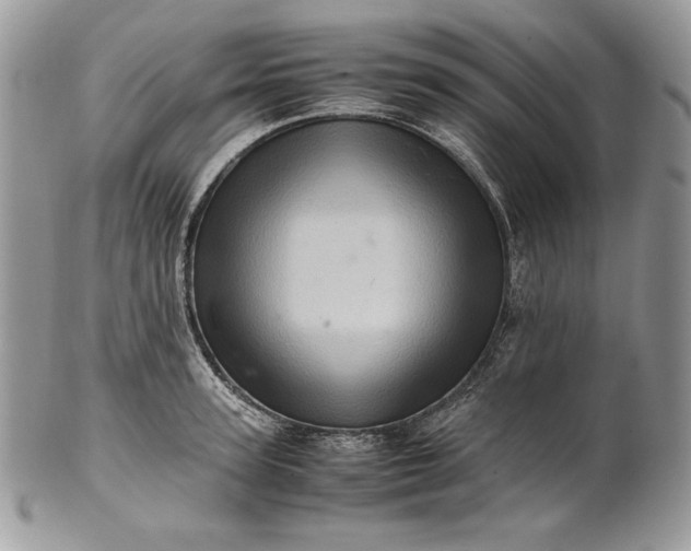 X0000101960947200808011104