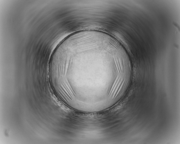 X0000101960948200808011104