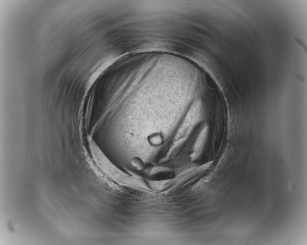 X0000101960949200808011104