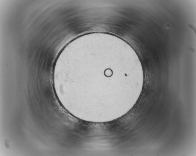 X0000101960950200808011105