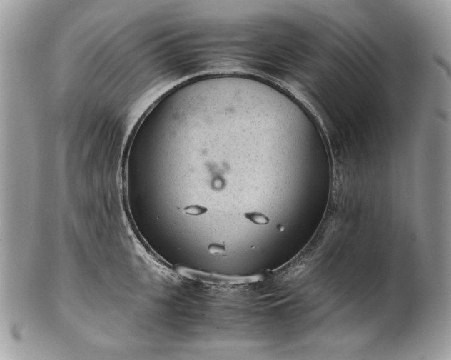 X0000101960951200808011105