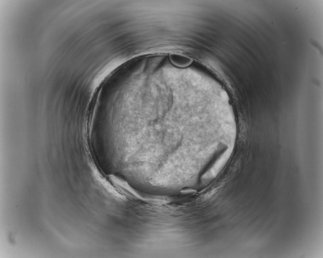 X0000101960952200808011105