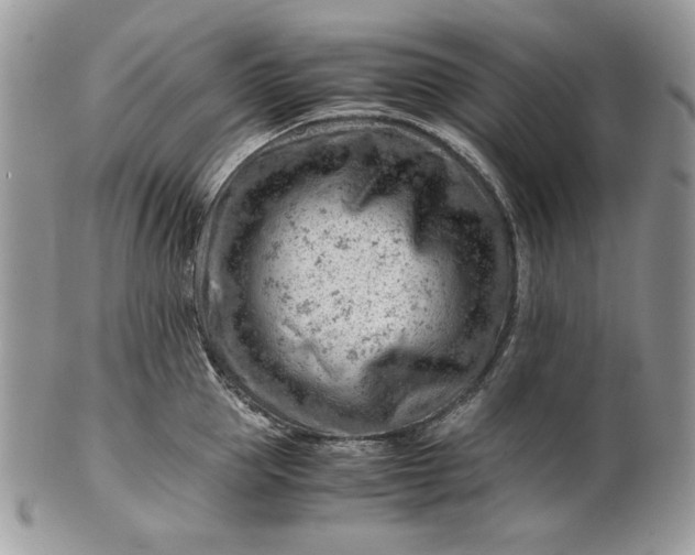 X0000101960953200808011105