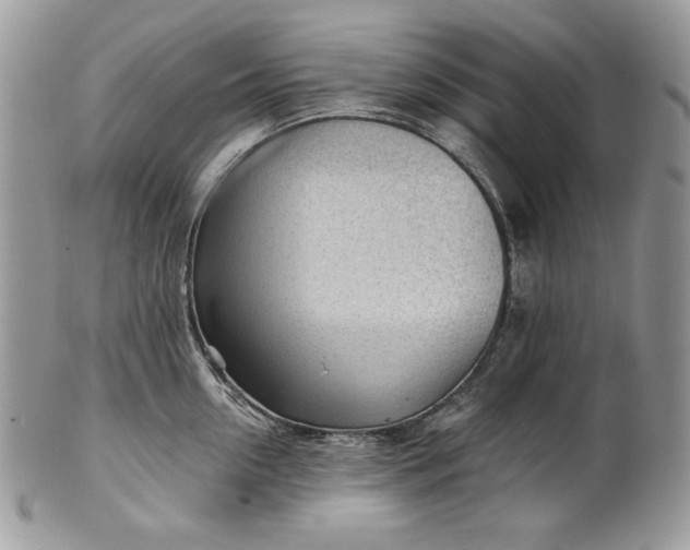 X0000101960954200808011105