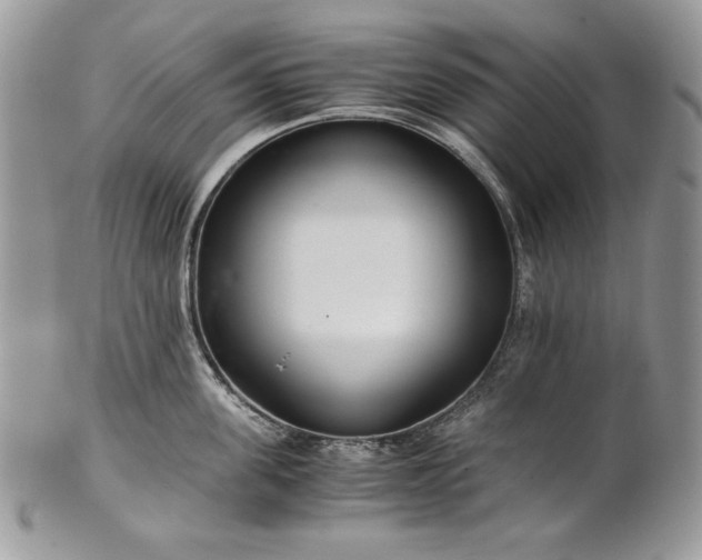 X0000101960955200808011105