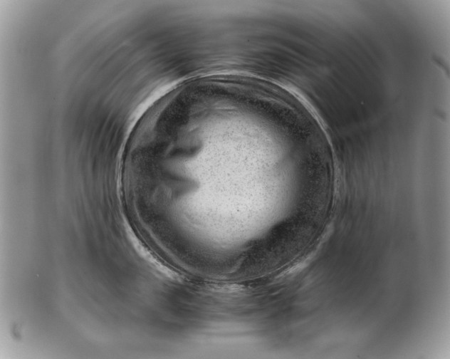 X0000101960957200808011105