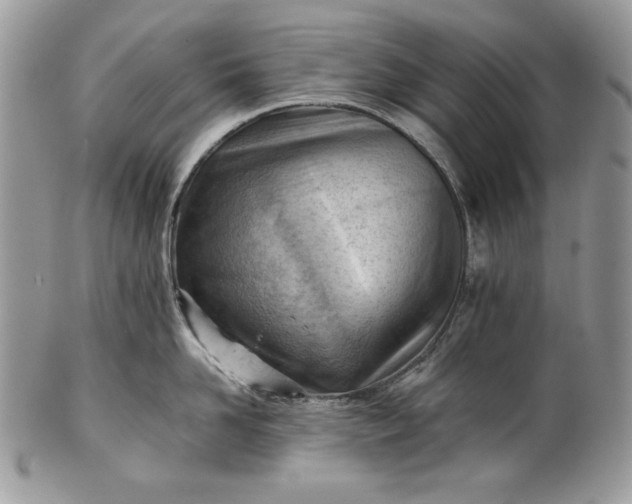 X0000101960958200808011105