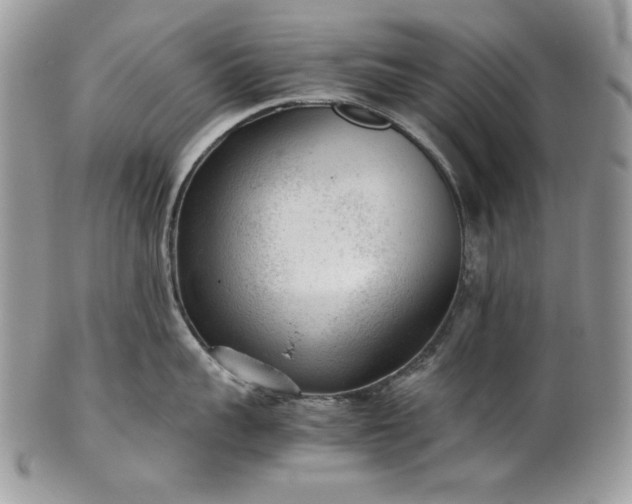 X0000101960959200808011105