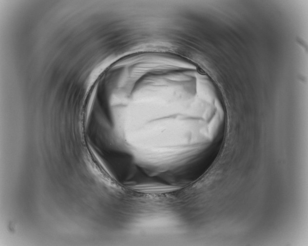 X0000101960960200808011105