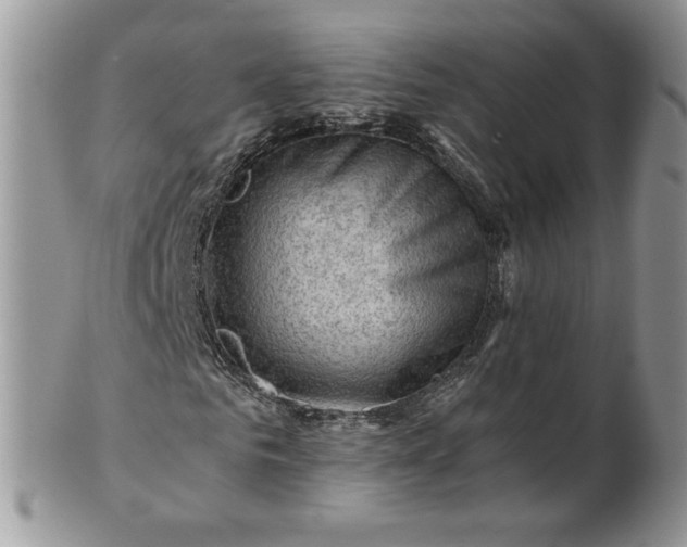 X0000101960961200808011104