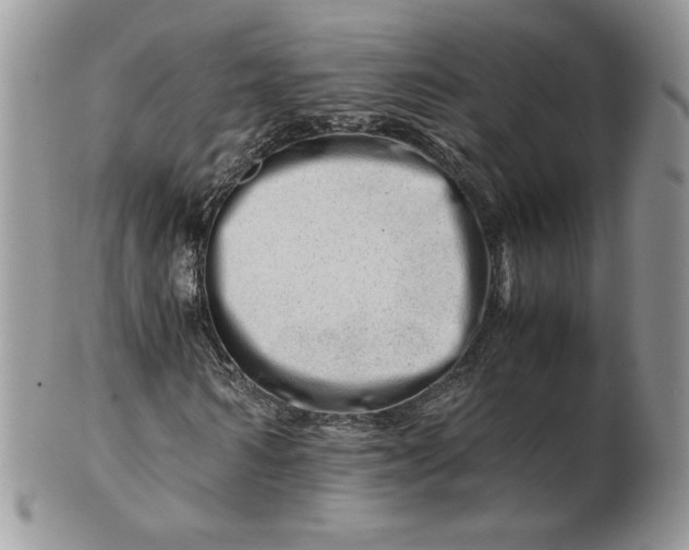 X0000101960962200808011104