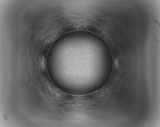 X0000101960963200808011104