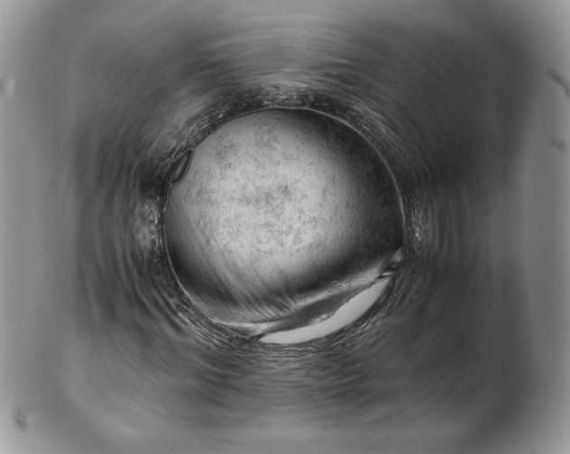 X0000101960964200808011104