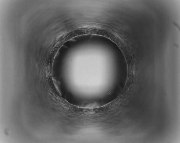 X0000101960965200808011104