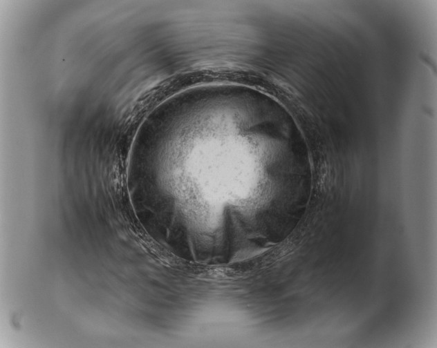 X0000101960966200808011104