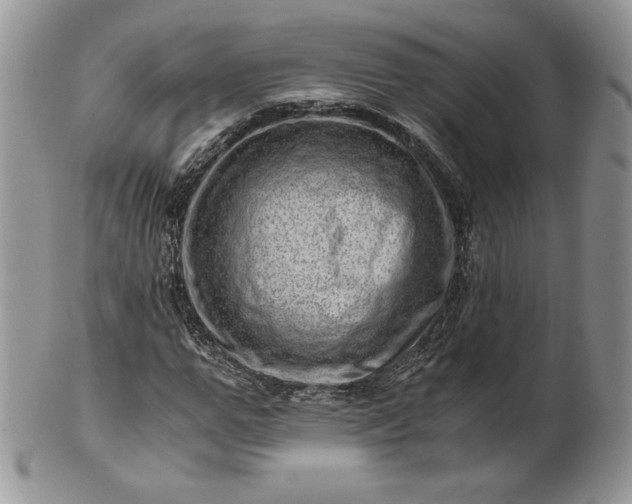 X0000101960967200808011104