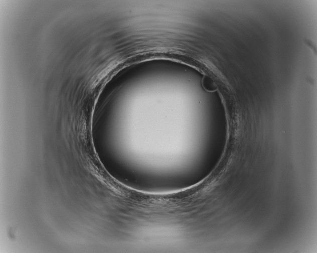 X0000101960969200808011104