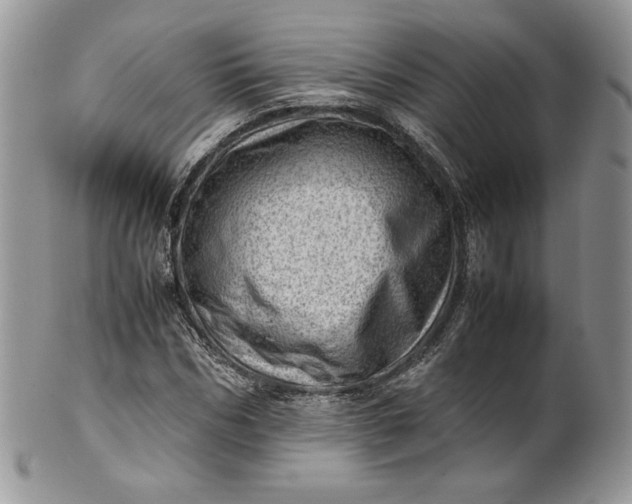 X0000101960970200808011104