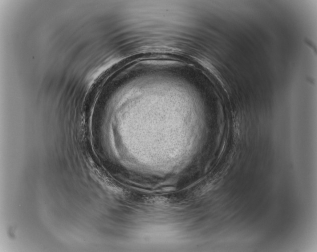 X0000101960971200808011104