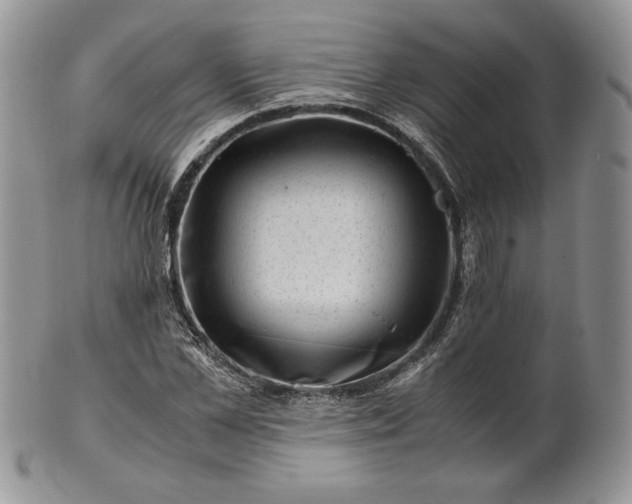 X0000101960973200808011104