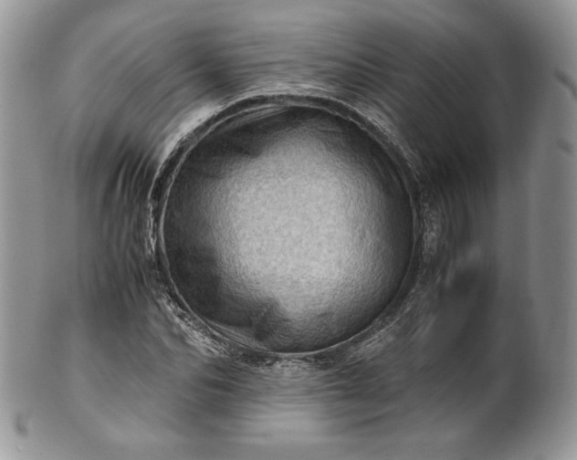 X0000101960974200808011104