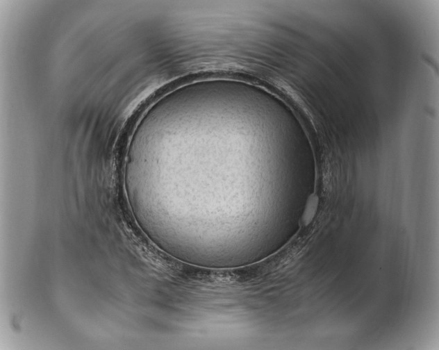 X0000101960975200808011104