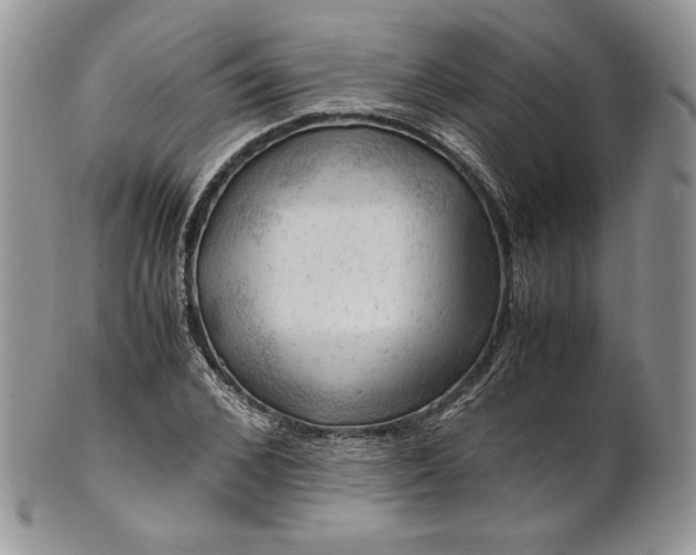 X0000101960976200808011104