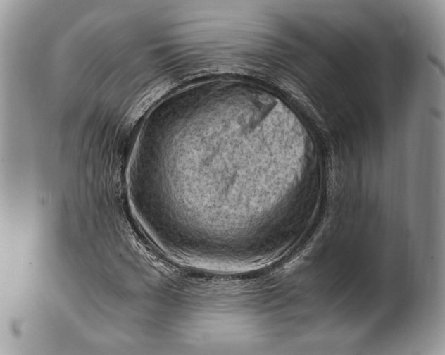 X0000101960977200808011104