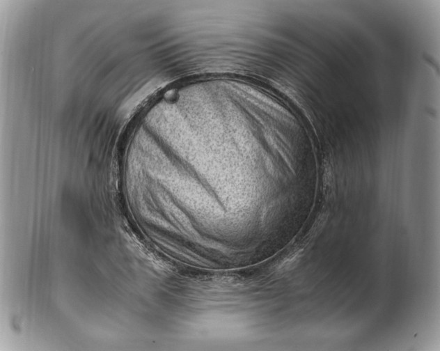 X0000101960979200808011104