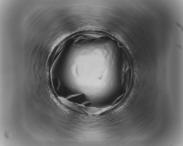 X0000101960981200808011104