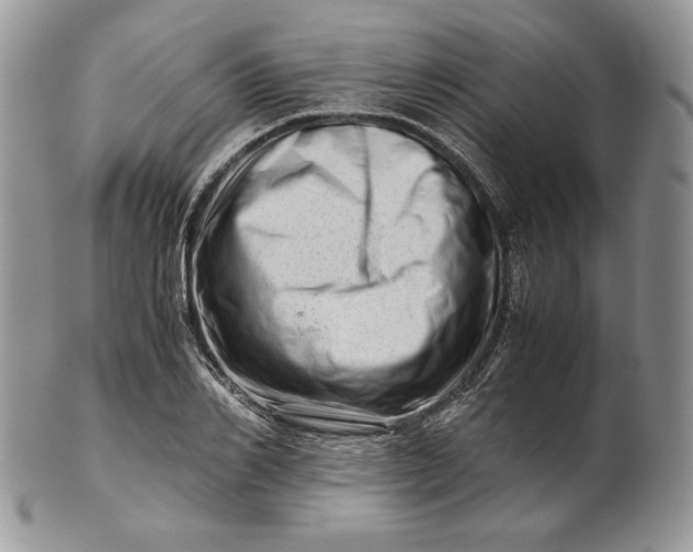 X0000101960982200808011104