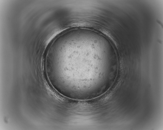 X0000101960983200808011104