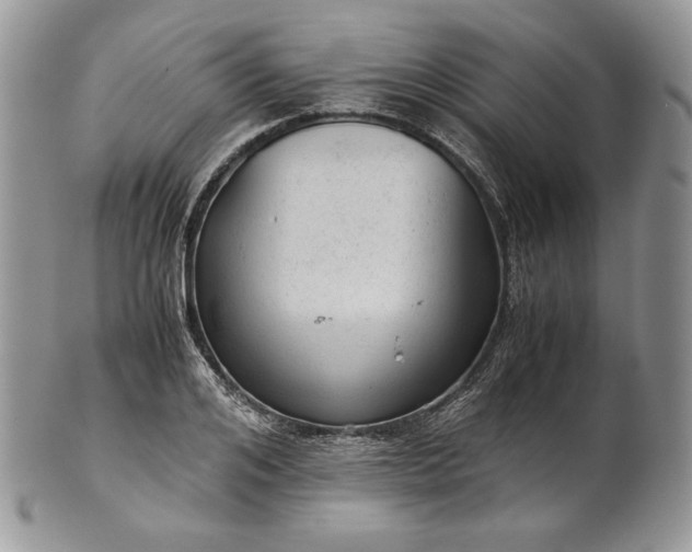 X0000101960984200808011104