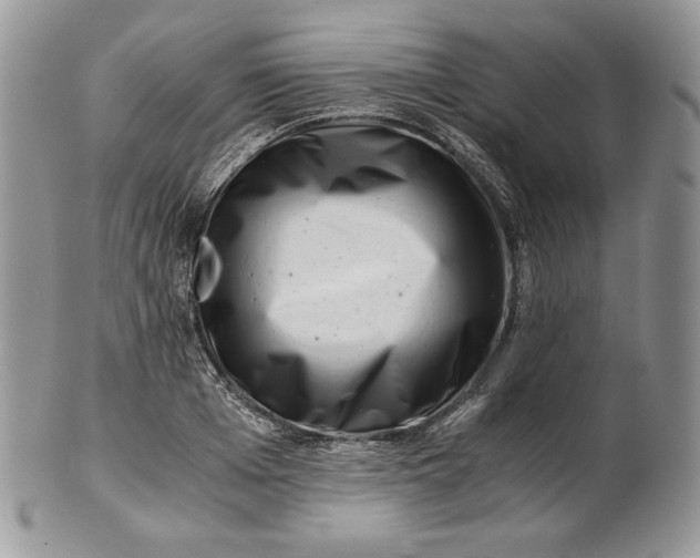 X0000101960985200808011104