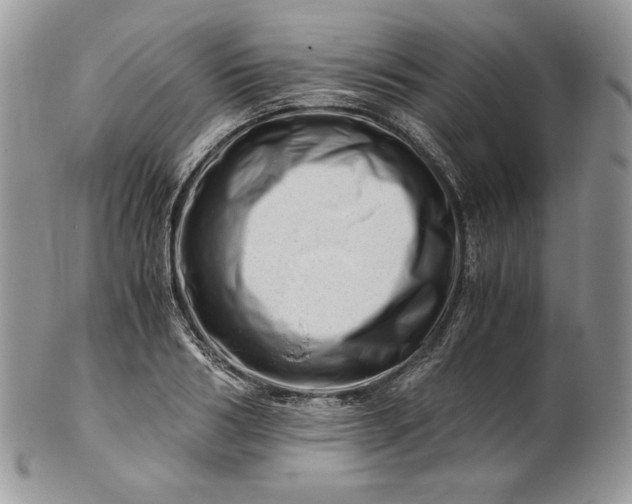 X0000101960986200808011104