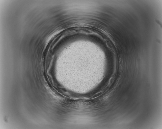 X0000101960987200808011104