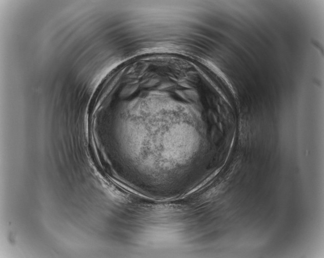 X0000101960988200808011104