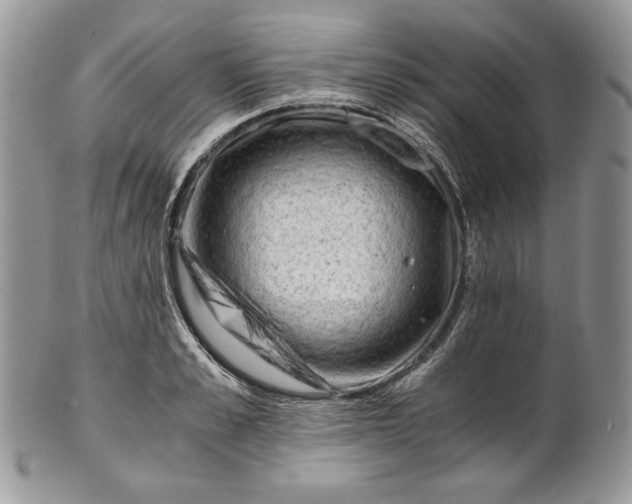 X0000101960989200808011104