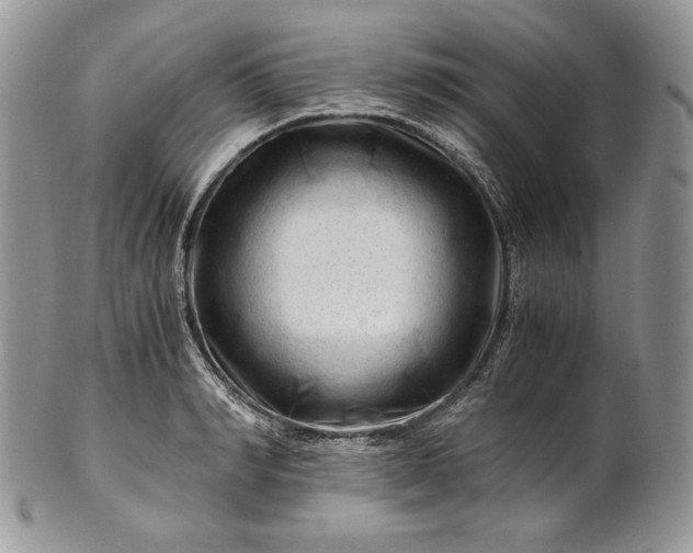 X0000101960990200808011104