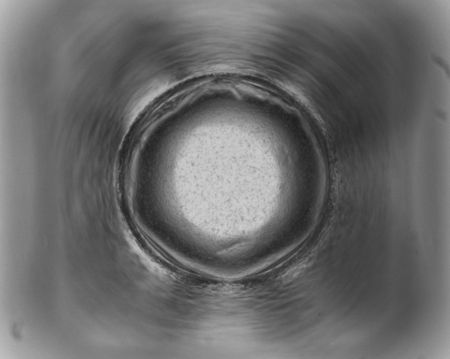 X0000101960991200808011104