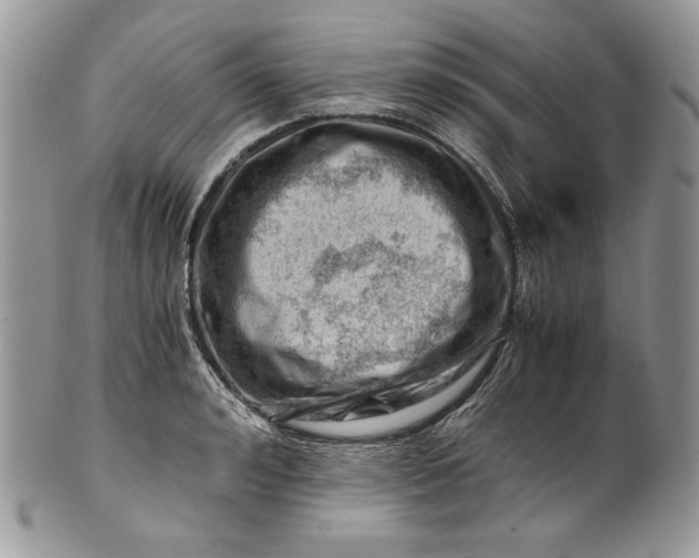 X0000101960992200808011104