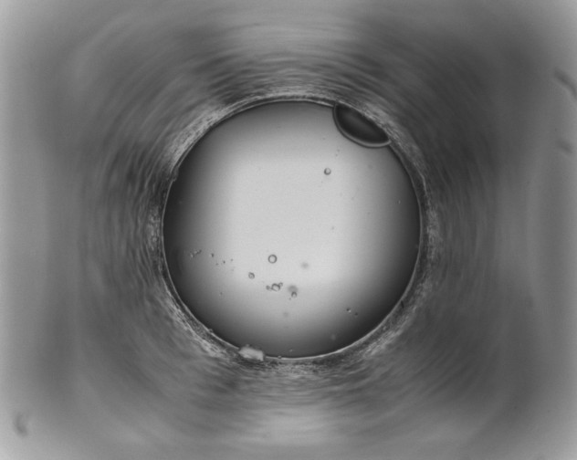 X0000101960993200808011104