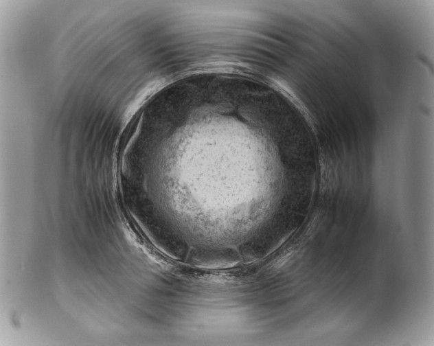 X0000101960994200808011104