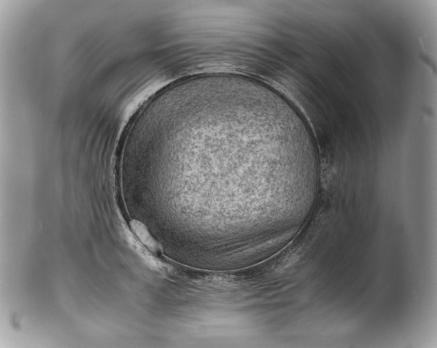 X0000101960995200808011103