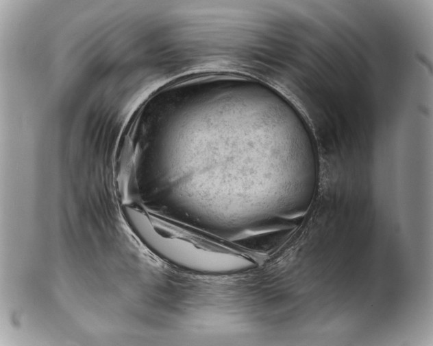 X0000101960996200808011103