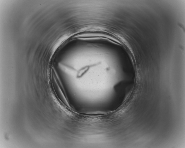 X0000101960997200808011103