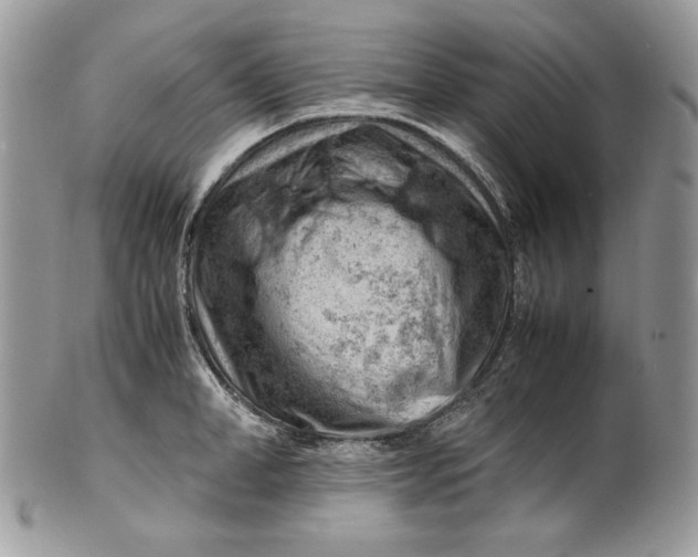 X0000101960998200808011103