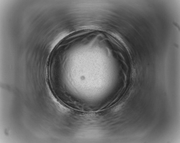 X0000101960999200808011103